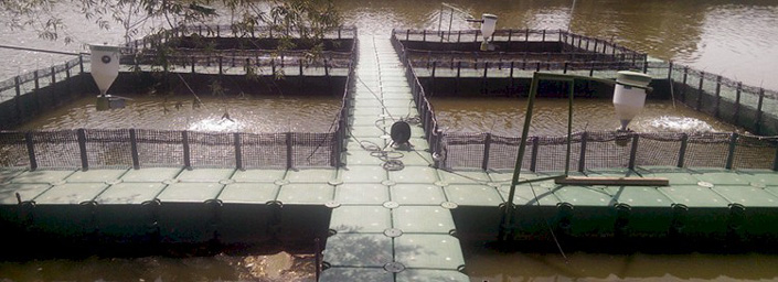 Schwimmkfiganlage