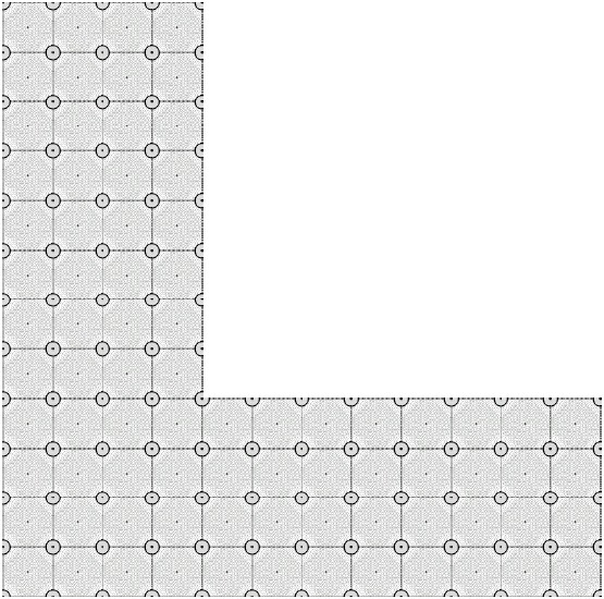 L-form