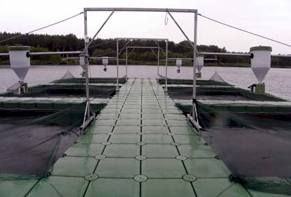 Netzkfiganlage